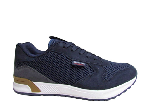 Torsion Field (K) - 1