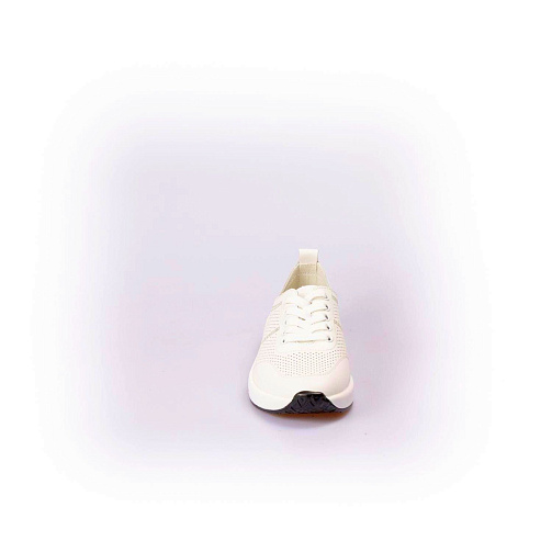 Lifexpert - 6