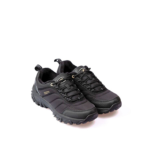 Torsion Field (K) - 6