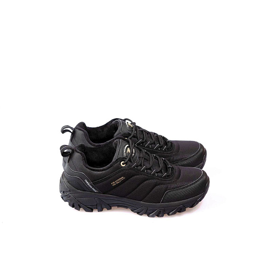 Torsion Field (K) - 8