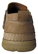 Tofa - 4